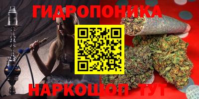 индика Пенза