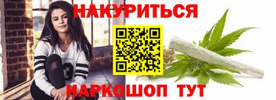 индика Пенза