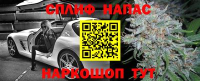 гидропоника Пушкино