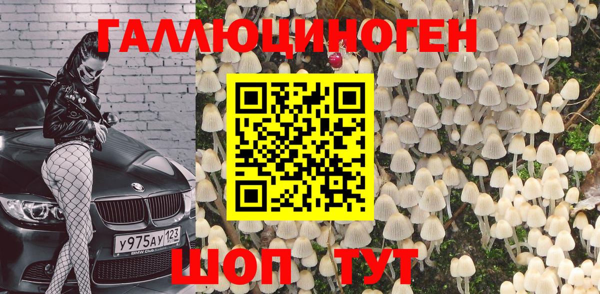 Галлюциногенные грибы Psilocybine cubensis Узловая